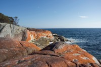 Bay of Fire