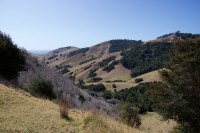 Coromandel Halbinsel