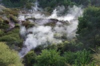 Wairakei Thermal Valley