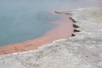 Wai-O-Tapu: Champagner Pool