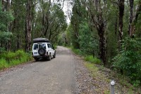 Black Rocks Im Bundjalung NP