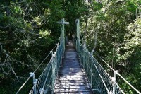 Treetopwalk