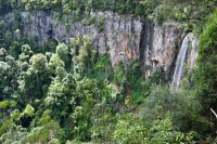 Springbrook NP