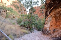 Echidna Chasm